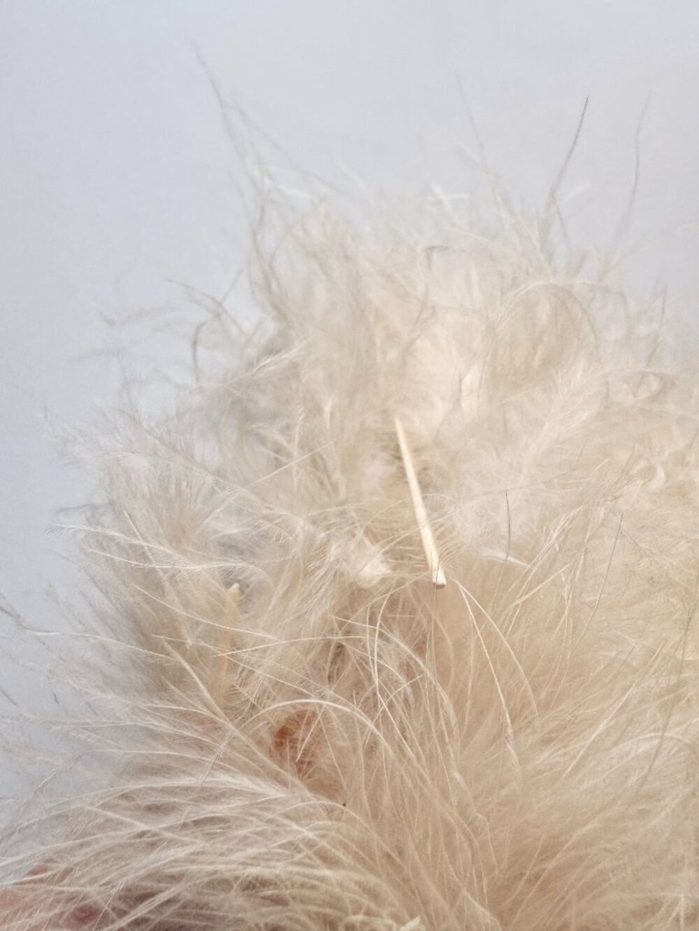 Vintage Beige Ostrich Feather Velvet Bow Wool Felt Cloche Hat - Picture 12 of 16